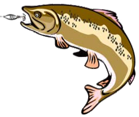 Trout Valley Logo